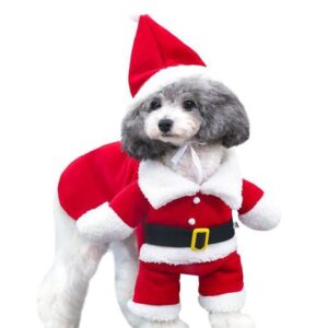 Bhumi Enterprise Pet Dog Cat Christmas Santa Hat with Scarf Xmas Costume Dress (XL)