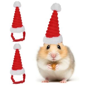 POPETPOP Guinea Pig Costume – Kitten Christmas Hat Pet Christmas Hat Santa Claus Cap Head Accessories for Rabbit Hamster Bunny Rat Kitten Small Animals 2pcs