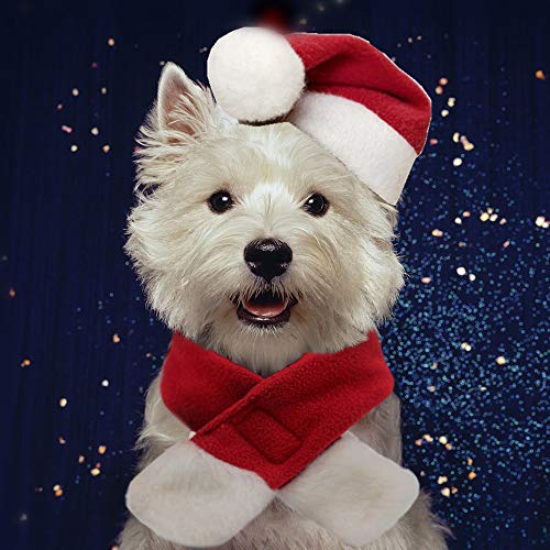 PULEIDI Pet Dog Cat Santa Hat Costume – Christmas Cat Costume with Hat and Scarf for Small Dogs, Perfect for Holloween,Holiday, Christmas,Party, Photos