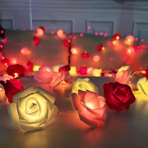 RaajaOutlets 30LED 6M Rose Flowers String Lights Fro Home Indoor Inhouse Table Party Diwali Christmas Tree All Festival Decorations