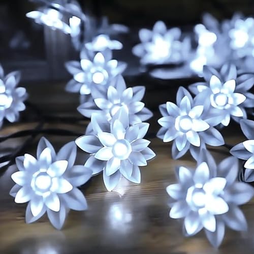 RaajaOutlets 40LED 6M Lotus Flower String Lights for Decoration Home Indoor Diwali Christmas Tree All Festival of Lights of Decoration (40LED White)