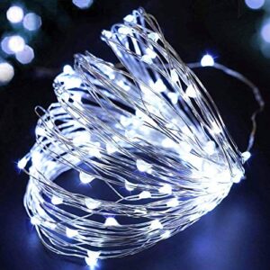 XERGY Battery Powered Copper Wire Led String Lights For Decoration,Christmas Tree Decoration Lights Festival Rice Light-10 Meter 100 Led’S-Cool White (Pack Of 1),10 meters